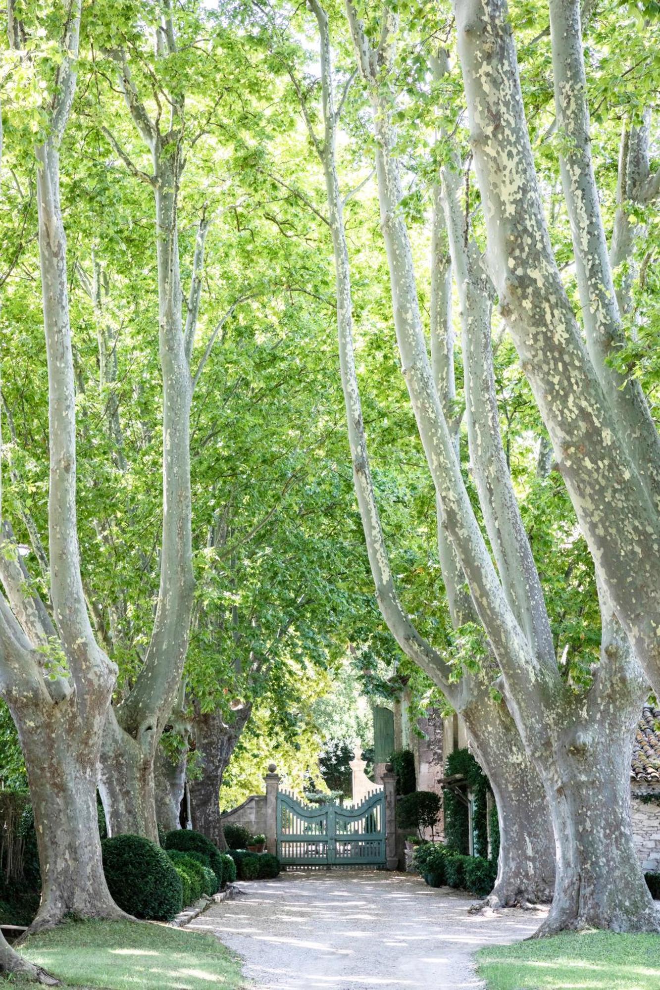 Domaine De Chalamon Bed & Breakfast Saint-Remy-de-Provence Bagian luar foto